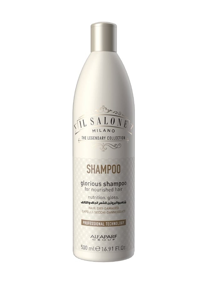 Shampoo With Protein For Dry And Damaged Hair 500Ml 