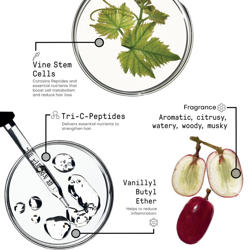 Framesi Morphosis Reinforcing Shampoo 8.4 fl oz, Volumizing Shampoo for Oily Scalps - Image 4