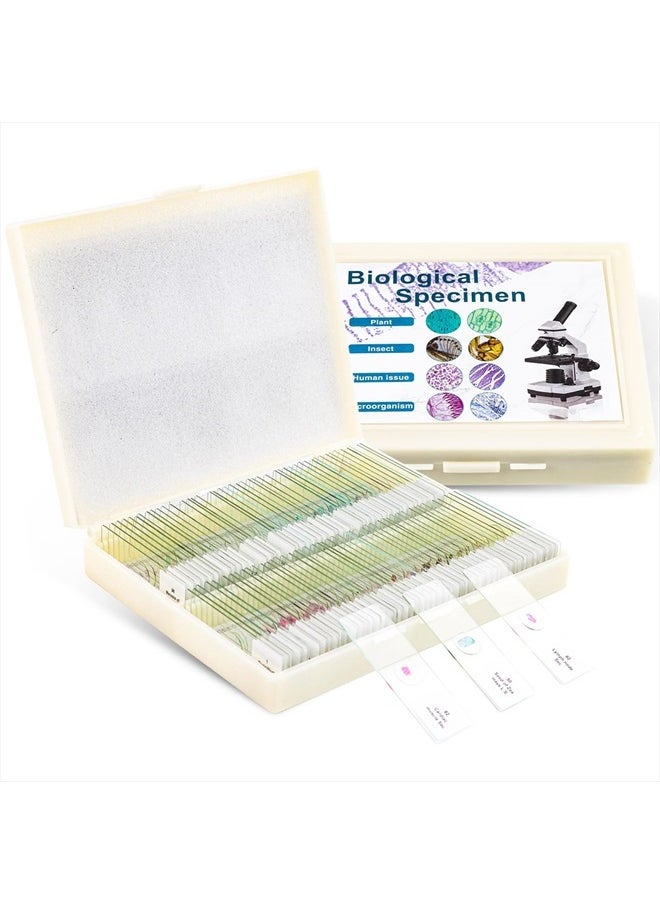 USCAMEL 100 Prepared Microscope Slides with Specimens for Kids Adults - Bacterium, Fungus, Human Tissues, Mitosis, Plants, Insects, Animals Cells Samples for Biological Science Lab, School Students  - Image 1