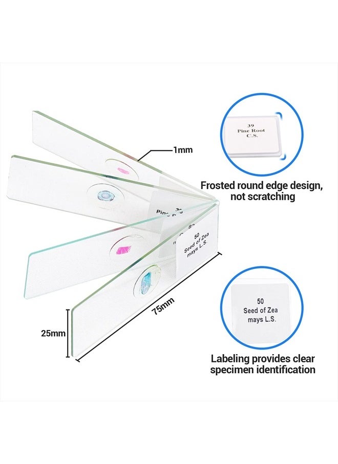 USCAMEL 100 Prepared Microscope Slides with Specimens for Kids Adults - Bacterium, Fungus, Human Tissues, Mitosis, Plants, Insects, Animals Cells Samples for Biological Science Lab, School Students  - Image 5