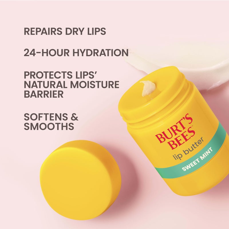 Burt's Bees Sweet Mint Lip Butter, Repairs Dry Lips, 24 Hour Hydration, Locks in Moisture, Includes Shea and Mango Butters, Antioxidant Rich Vitamin E, Convenient Twist Up Dispenser, 0.5 Oz. - Image 2