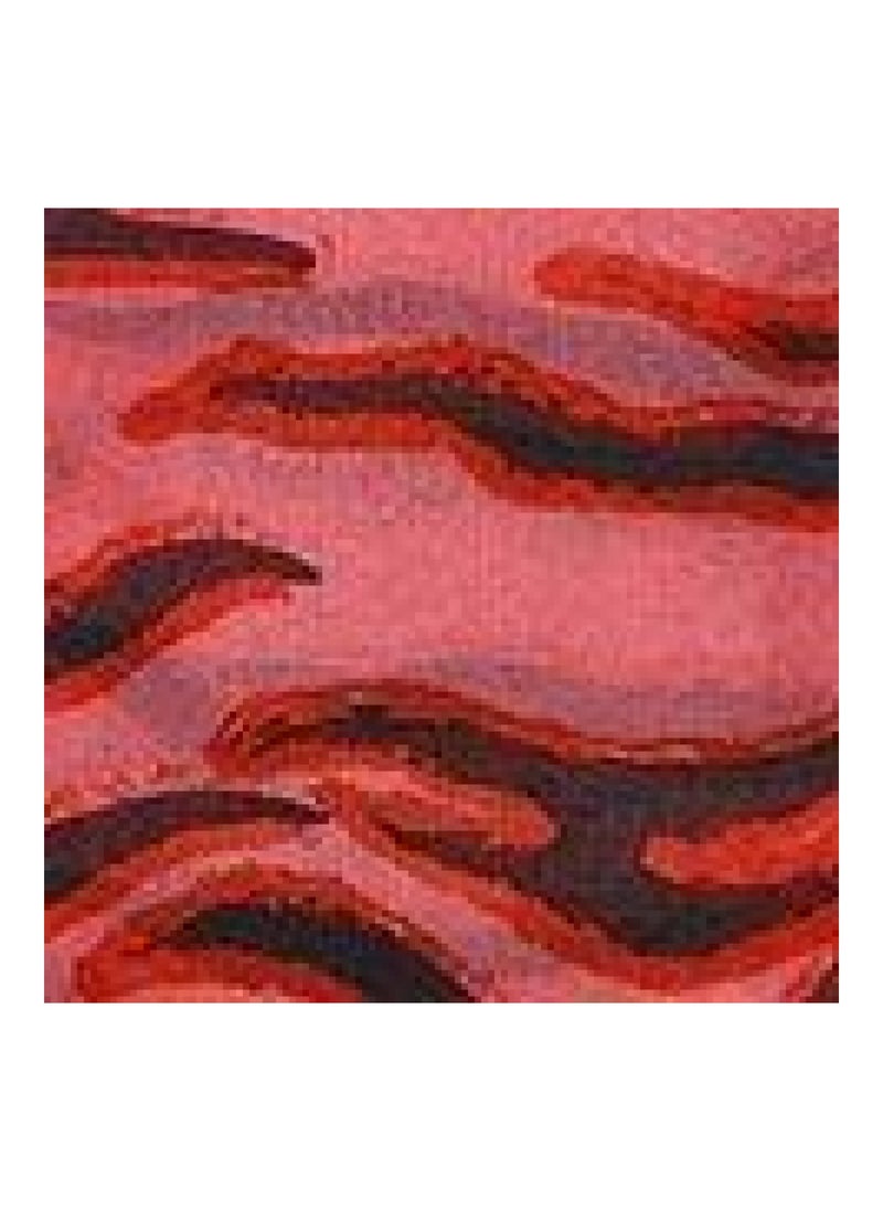 DOROTHY PERKINS - Recycled Fushia Zebra Print Scarf - Image 1