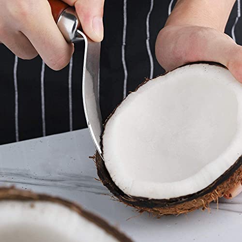 UNIQUE CART Coconut Meat Removal Tool Stainless Steel Scraper with Wooden Handle Easy Coconut Opener for Fresh Coconut Flesh Durable Kitchen Tool for Scooping Coconut Meat Silver and Brown - Image 4