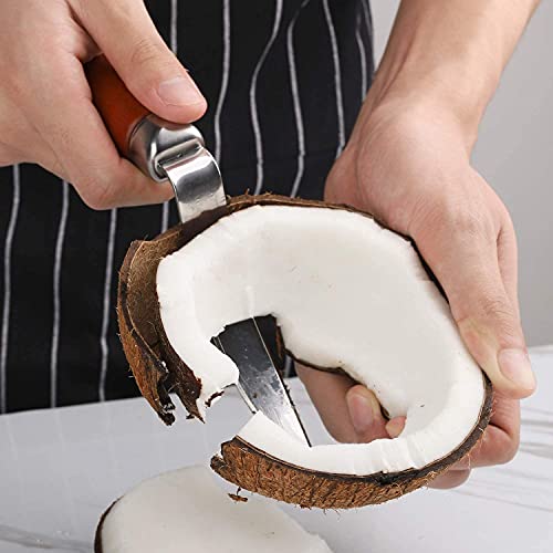UNIQUE CART Coconut Meat Removal Tool Stainless Steel Scraper with Wooden Handle Easy Coconut Opener for Fresh Coconut Flesh Durable Kitchen Tool for Scooping Coconut Meat Silver and Brown - Image 5