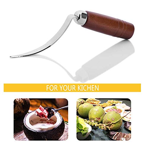UNIQUE CART Coconut Meat Removal Tool Stainless Steel Scraper with Wooden Handle Easy Coconut Opener for Fresh Coconut Flesh Durable Kitchen Tool for Scooping Coconut Meat Silver and Brown - Image 3
