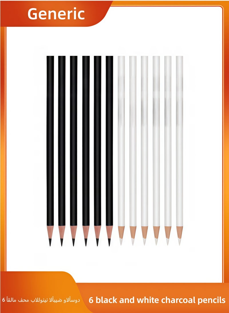 Set of 6 Black and White Assorted Charcoal Pencils - Erasable, Medium Tip for Precise Sketching and Drawing, Wood Texture, Perfect for Artists and Illustrators - Image 1