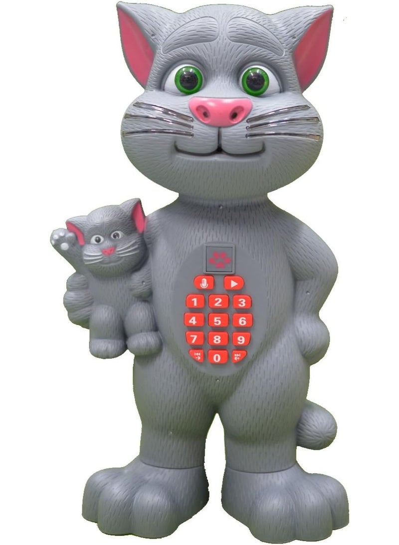 15 Magical Story Telling Talking Tom Cat Toy - Image 1