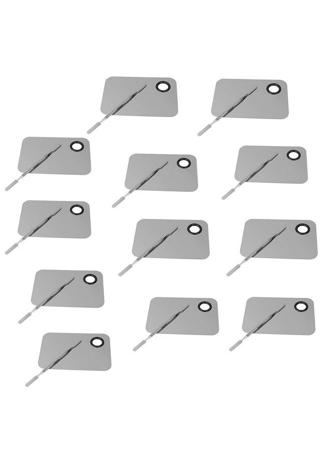 Brain Freezer Pack Of 12 Makeup Palette With Stainless Steel Square Shape Spatula Silver - Image 1
