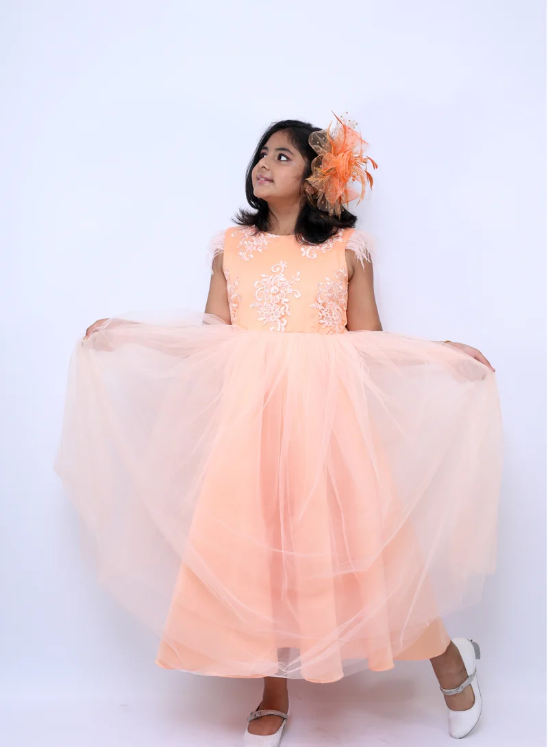 D'Daniela Embroidered Peach Tulle Dress