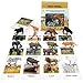 RUSON 12 Safari Animals Figures Toys with 12 Flash Cards Realistic Mini Jungle Animal Figurines Cake Topper Party Supplies Montessori Animal Matching Game for Toddler Kids - Image 3