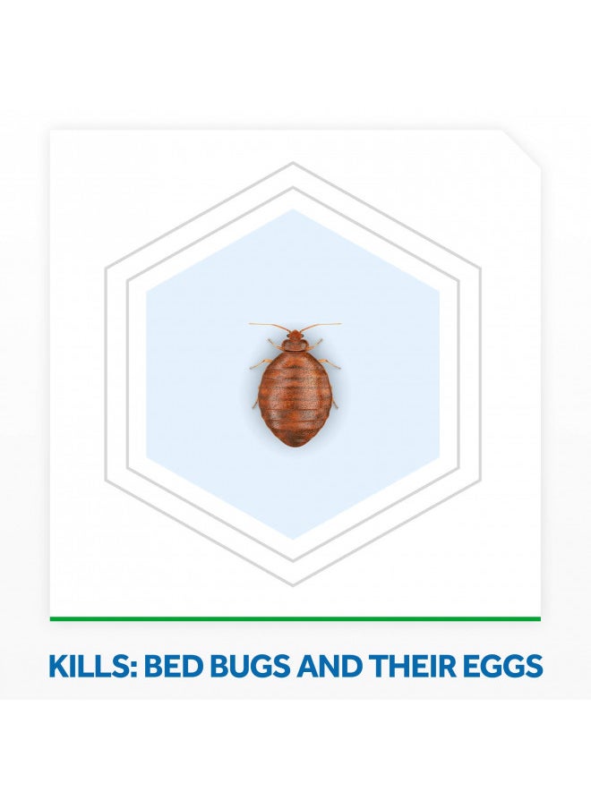 RAID - Raid Bed Bug Foaming Spray, Kills Bed Bugs and Their Eggs, for Indoor Use, Non-Staining, Keeps Killing for Weeks, 16.5 oz (Pack of 1) - Image 1