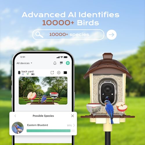 Lagriner Bird Feeder with Camera, 2K HD Live Video, Smart Bird Cam Solar Powered with AI Birds Species Identification, Auto Capture Video, Instant Arrival Alerts, Best Gifts for Mom Dad - Image 3