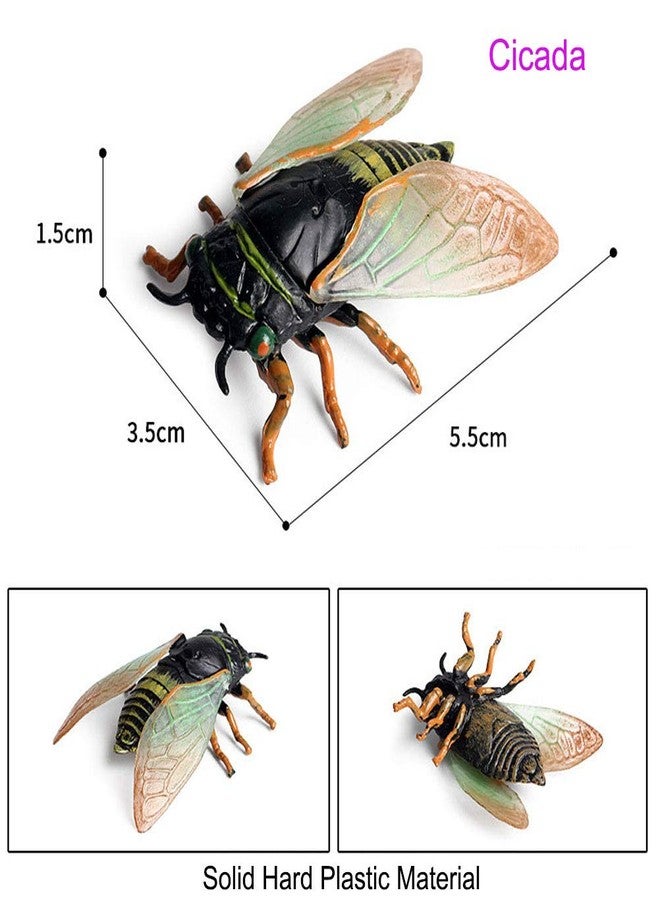 JOKFEICE Animal Figures 3 pcs Realistic Plastic Golden Cicada Family Action Model Science Project, Learning Educational Toys, Birthday Gift, Cake Topper for Kids Toddlers - Image 5