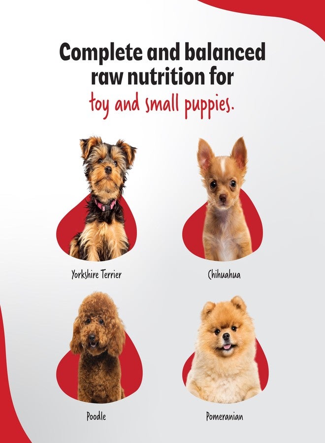 RIGHT4PAWS Dry Dog Food for Complete Nutrition Diet for Toy & Small Puppy Breeds, High-Protein Growth Formula with Vitamins, Minerals, Immune Support & Healthy Digestion, Ideal Daily Meal for Puppies (2kg) - Image 2
