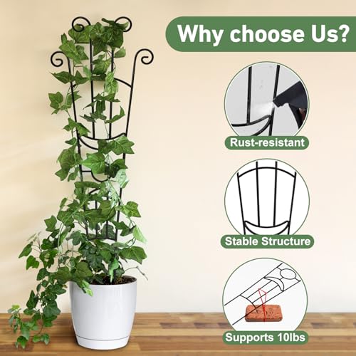 Xeeol 326in Plant Trellis for Climbing Plants Indoor Outdoor Expandable Large Metal Garden Trellis for Potted Plants HeavyDuty Tall Pothos Plant Climber Support for Ivy Pothos Hoya Monstera 2P - Image 3
