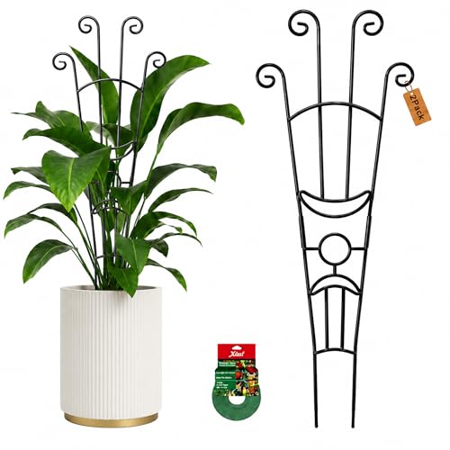 Xeeol 326in Plant Trellis for Climbing Plants Indoor Outdoor Expandable Large Metal Garden Trellis for Potted Plants HeavyDuty Tall Pothos Plant Climber Support for Ivy Pothos Hoya Monstera 2P - Image 1