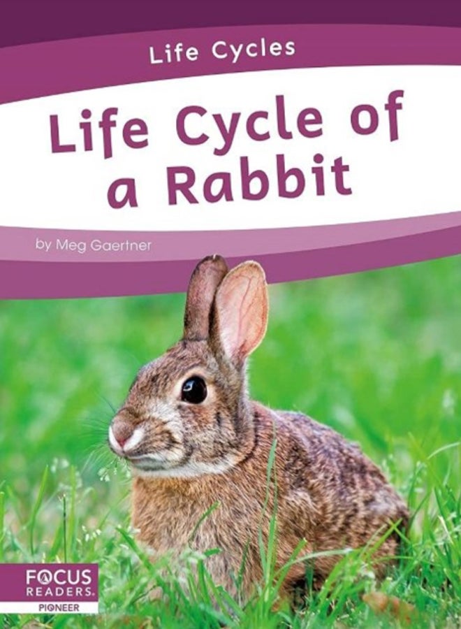 Life Cycles: Life Cycle of a Rabbit