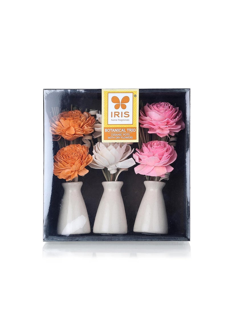 IRIS - Iris Home Fragrances Botonical Trio Ceramic Gift Box with Dry Flowers in a Wooden Box- 520g,Fine-Living Fragrance/Home Decor. - Image 1