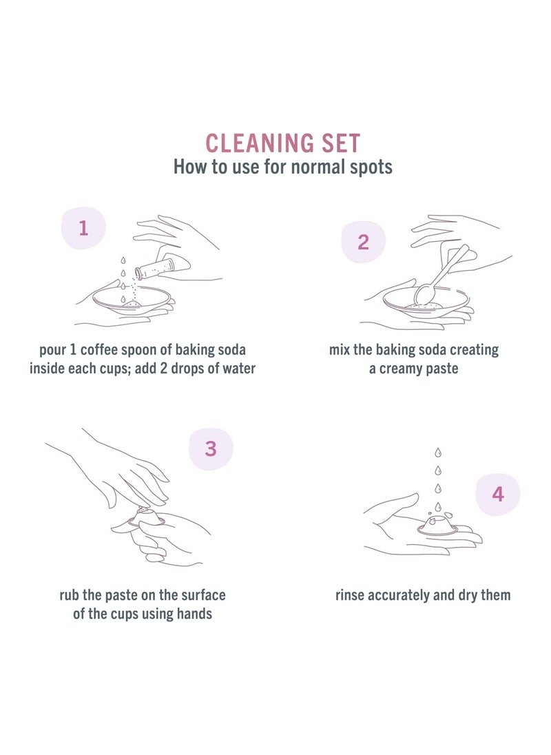 Silverette The Original Cleaning Set