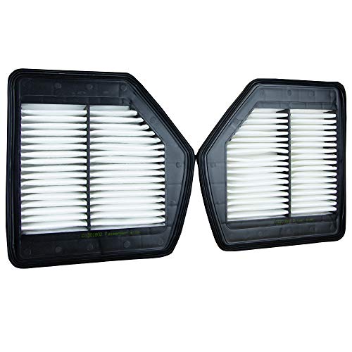 ECOGARD XA10629 Premium Engine Air Filter Fits 2018-2020 Genesis G80, 2017-2022 G90, 2015-2016 Hyundai Genesis, 2019-2020 Kia K900, Left and Right - Image 3