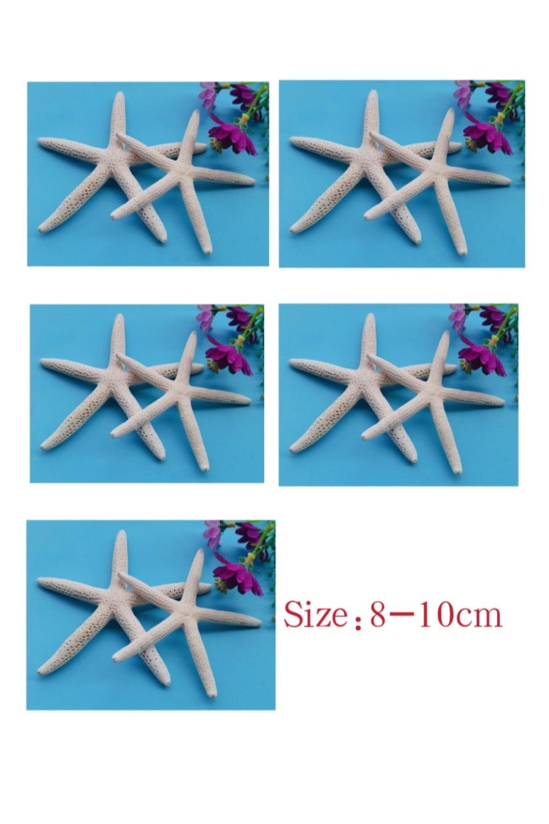 الواحة-TH 10 قطع من نجم البحر الطبيعي كبير الحجم 8-10 سم للحرف اليدوية والمحارة وديكورات المناظر الطبيعية ومنصة الزفاف وديكور حوض السمك - Image 1