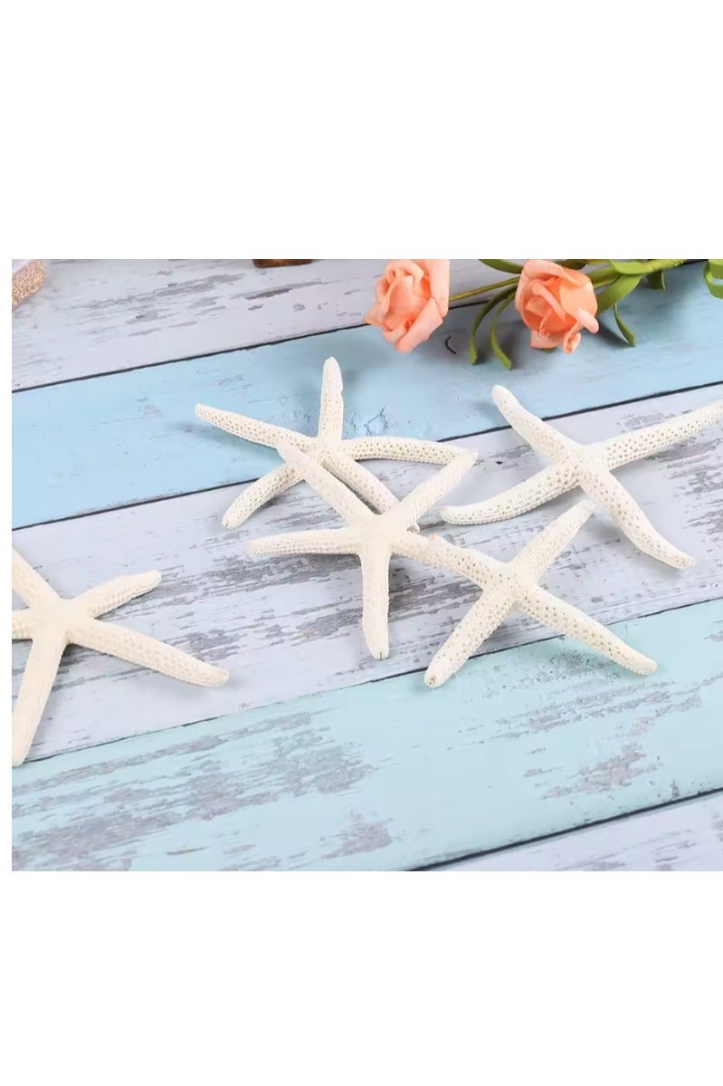 الواحة-TH 10 قطع من نجم البحر الطبيعي كبير الحجم 8-10 سم للحرف اليدوية والمحارة وديكورات المناظر الطبيعية ومنصة الزفاف وديكور حوض السمك - Image 3