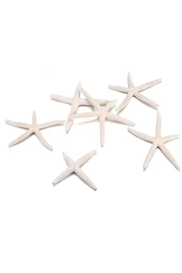 الواحة-TH 10 قطع من نجم البحر الطبيعي كبير الحجم 8-10 سم للحرف اليدوية والمحارة وديكورات المناظر الطبيعية ومنصة الزفاف وديكور حوض السمك - Image 2