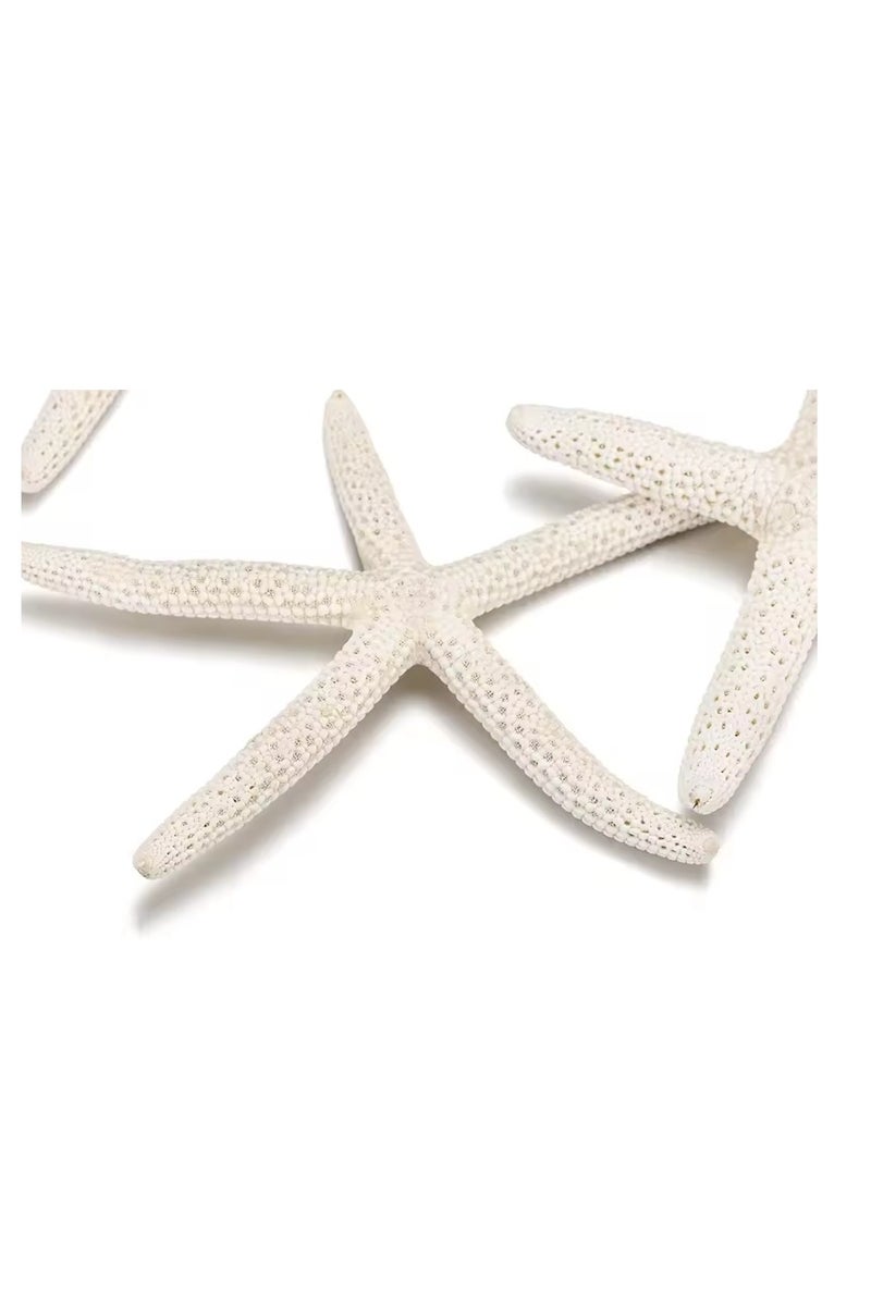 الواحة-TH 10 قطع من نجم البحر الطبيعي كبير الحجم 8-10 سم للحرف اليدوية والمحارة وديكورات المناظر الطبيعية ومنصة الزفاف وديكور حوض السمك - Image 5