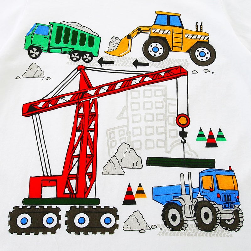 Bumeex Toddler Boys Clothes Outfits Cute Spring Summer Cotton Short Sleeve T-Shirt Tee And Short Clothing Set Cranes 5t - Image 3
