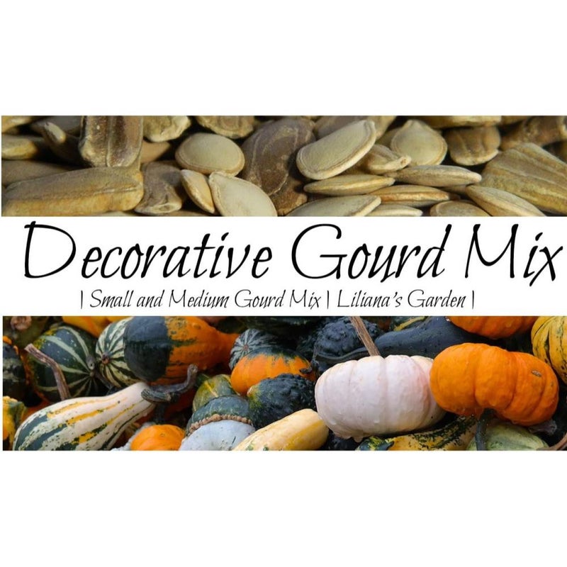“Decorative Mix” Small and Medium Gourd Seeds – 7+ Varieties/Packet – Warted, Smooth, Striped, Daisy, and More | Cucurbita Pepo | Never GMO, Always Heirloom | USA Grown Seeds by  | - Image 1