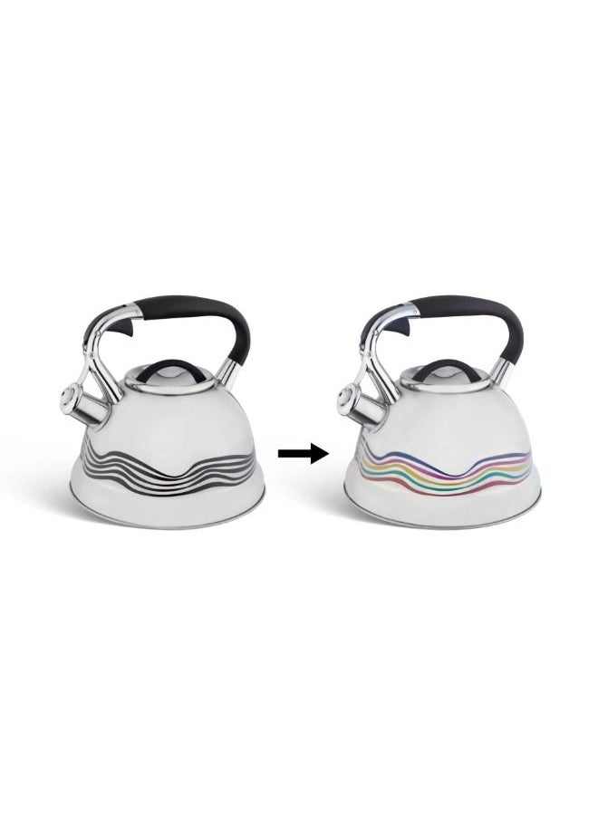 EDENBERG 3.0L Kettle with Nylon Handle | Stovetop Kettle for Water & Tea | Food Grade Stainless Steel Tea Kettle with Nylon Handle | Silver, 3.0L