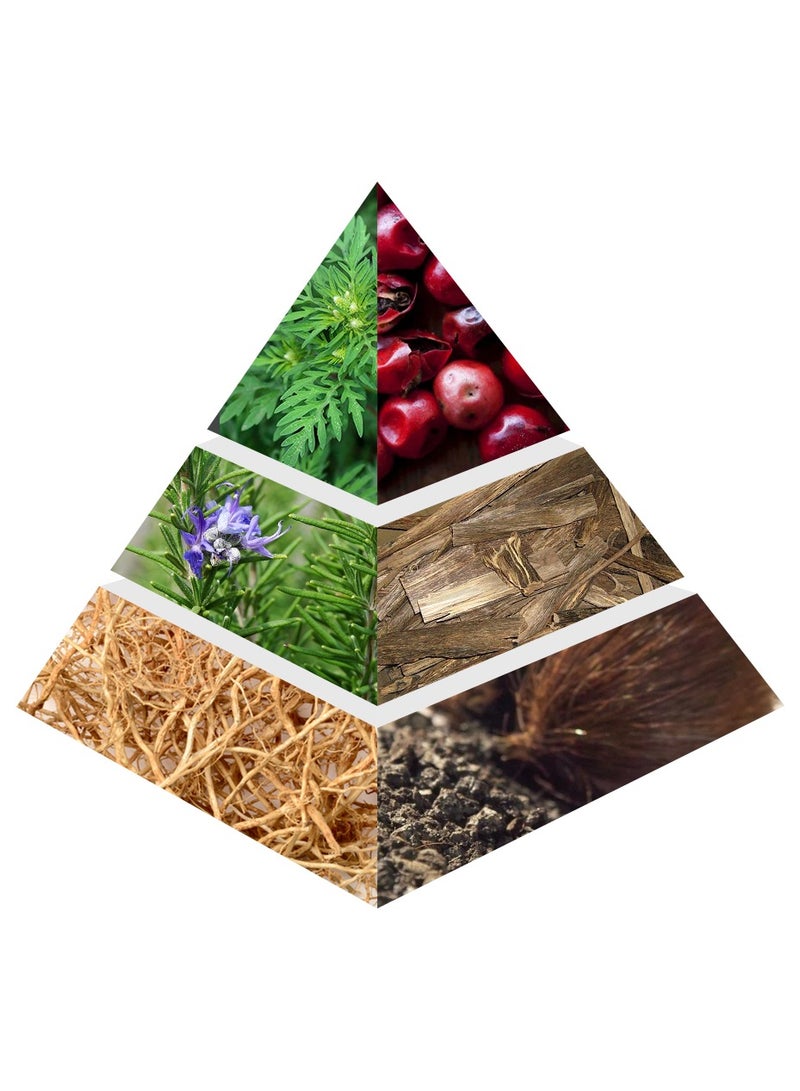 Character Inspero Snow Flurry - Image 5