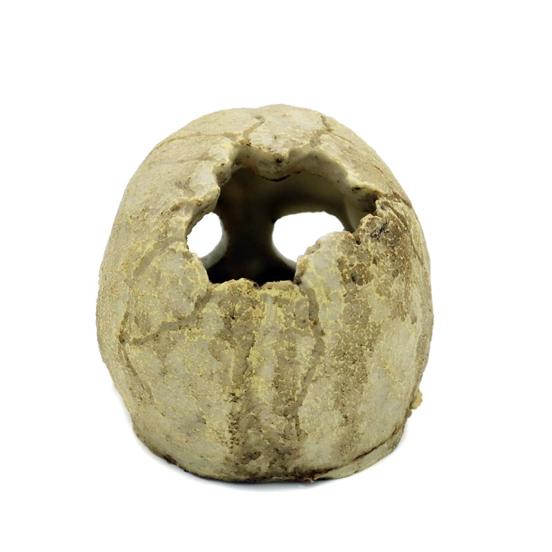 JIHAQUA Aquarium Resin Skull, Reptile Tank Accessories Ornament Basking Snake Hide Decor Habitat - Image 3