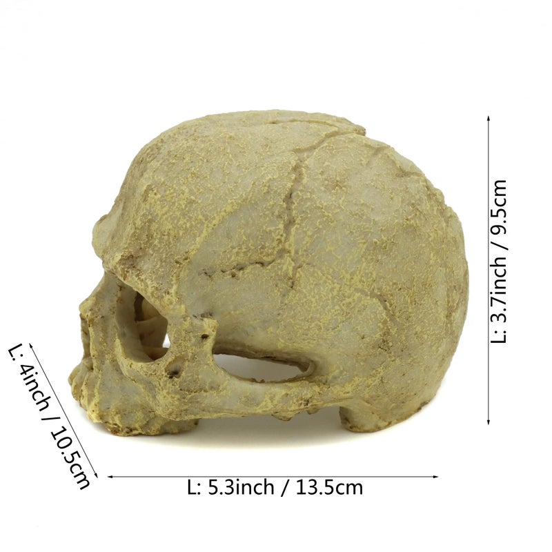 JIHAQUA Aquarium Resin Skull, Reptile Tank Accessories Ornament Basking Snake Hide Decor Habitat - Image 5