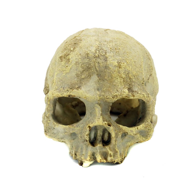 JIHAQUA Aquarium Resin Skull, Reptile Tank Accessories Ornament Basking Snake Hide Decor Habitat - Image 1