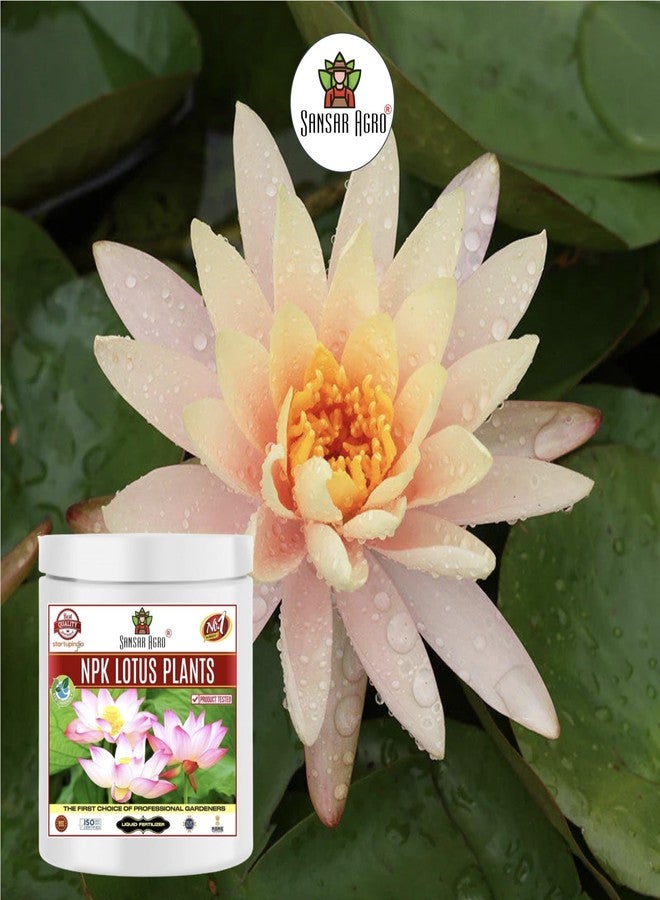 Sansar Agro سماد عضوي من نوع سانسار أغرو® NPK لنباتات اللوتس وزنابق الماء، لنمو وازدهار النباتات المائية بشكل عام. (200 غرام) - Image 5