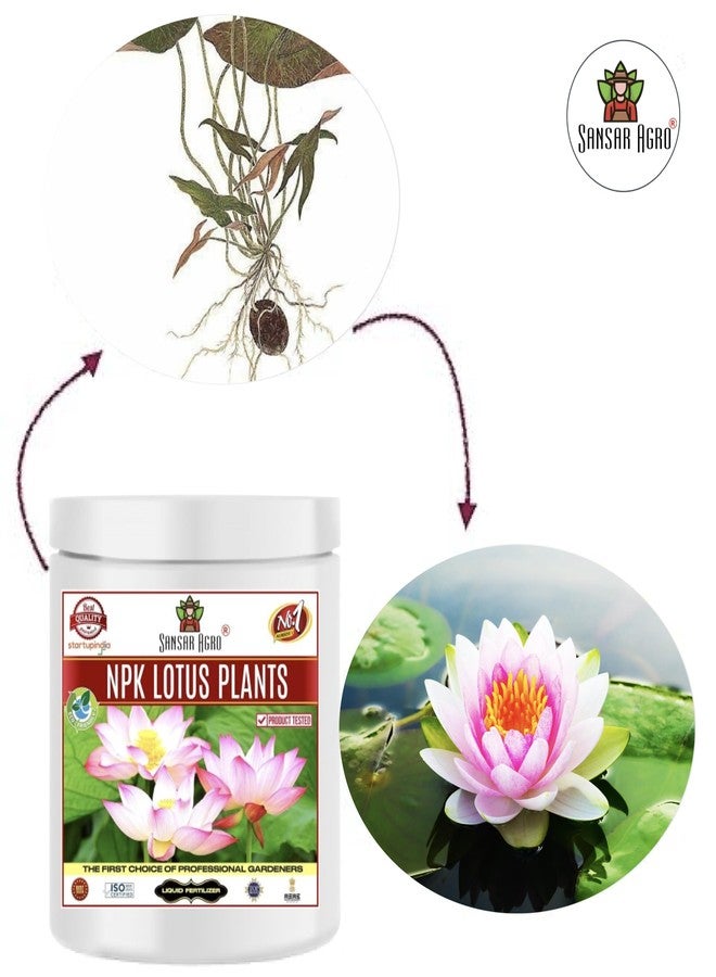 Sansar Agro سماد عضوي من نوع سانسار أغرو® NPK لنباتات اللوتس وزنابق الماء، لنمو وازدهار النباتات المائية بشكل عام. (200 غرام) - Image 2