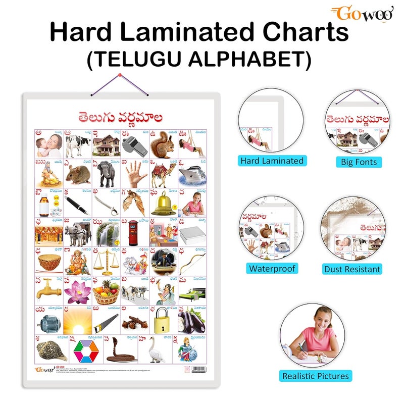 GoWoo Set of 2 Baarahkhadee and Telugu Alphabet (Telugu) Early Learning Educational Charts for Kids | 20"X30" inch |Non-Tearable and Waterproof | Double Sided Laminated | Perfect for Homeschooling, Kindergarten and Nursery Students - Image 2
