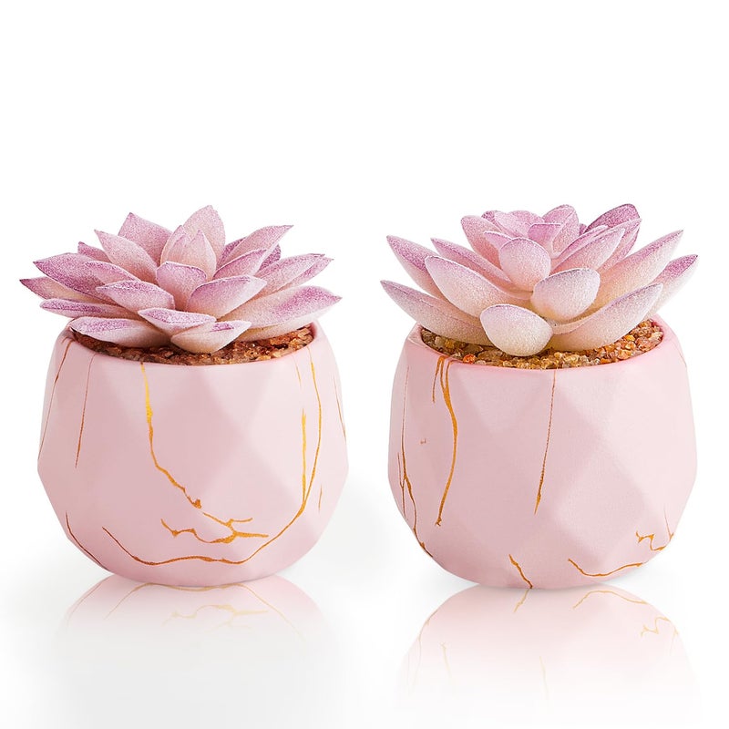 ZENIDA Artificial Succulent Plants in 2 Pink Ceramic Pots, Cute Fake Plants for Vanity Decor,Office, Desk, Bathroom, Kitchen,Bedroom, Shelves Decor for Women,Girls Gift - Image 1