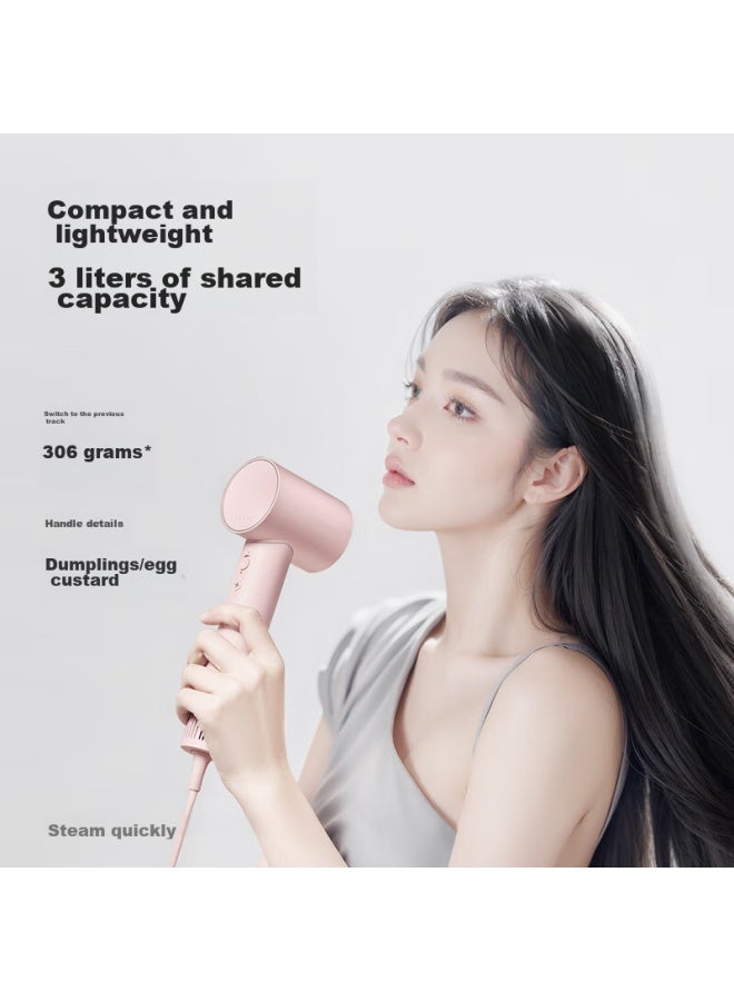 Flyco Entry-level Household And Dormitory High-speed Hair Dryer, Portable, Powerful, Quick-drying, Noise-reducing, Negative Ion Hair Protection Hair Dryer, Fh6370, Princess Pink - Image 1