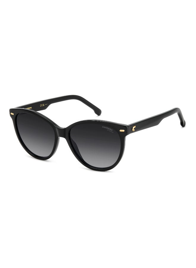 CARRERA CARRERA 3084/S Sunglasses Black Cat Eye - Image 1