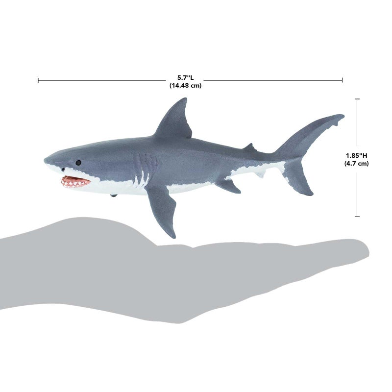 Safari تمثال سمكة القرش البيضاء العظيمة من سافاري ليمتد - نموذج واقعي بطول 6.25 بوصة - لعبة تعليمية للأولاد والبنات والأطفال من عمر 3 سنوات فما فوق - Image 3