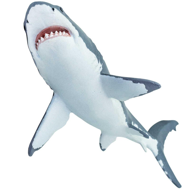 Safari تمثال سمكة القرش البيضاء العظيمة من سافاري ليمتد - نموذج واقعي بطول 6.25 بوصة - لعبة تعليمية للأولاد والبنات والأطفال من عمر 3 سنوات فما فوق - Image 5