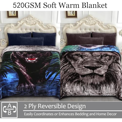 JYK Soft Fleece Bed Blanket Queen Size 5 LB, Korean Style 2 Ply Reversible Fluffy Flannel Blanket Microfiber, Warm Cozy Blanket for Autumn, Winter 75x87 Inches - Black Panther/Lion - Image 3