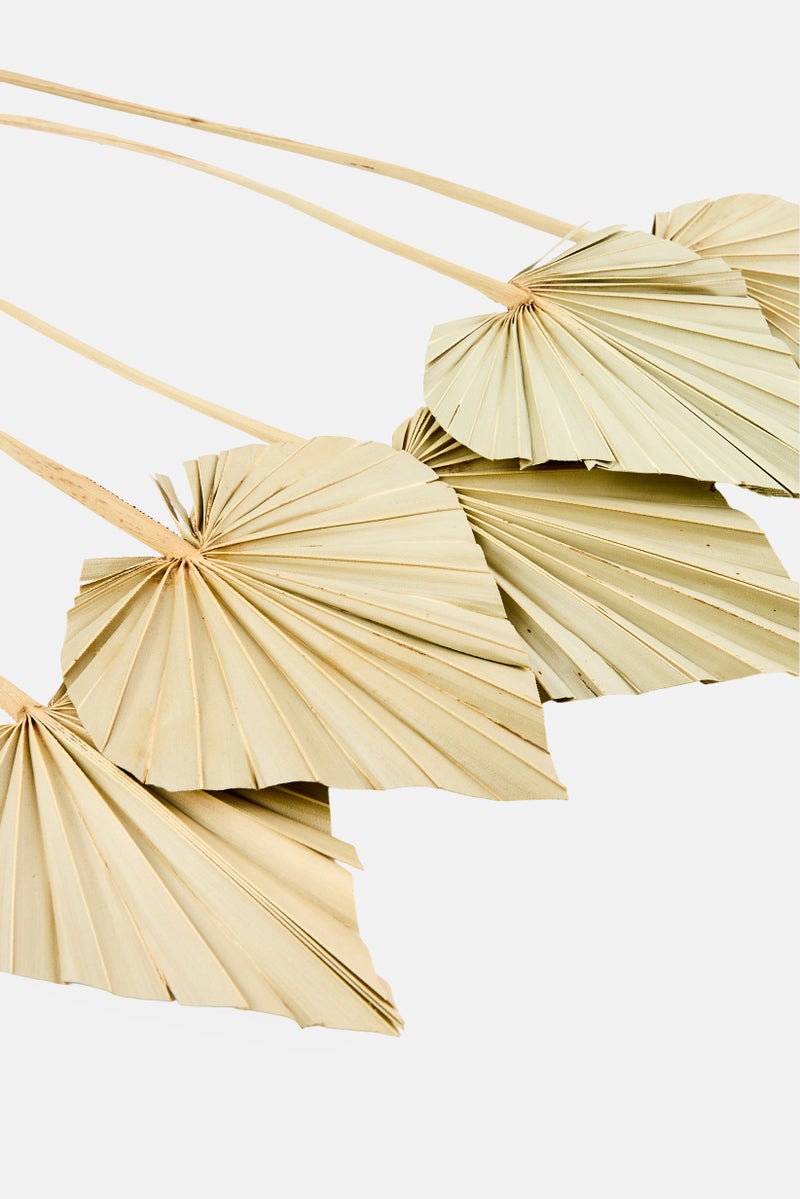 Muy Mucho 5pcs Natural Dried Palm Spear , Sage Olive - Image 3