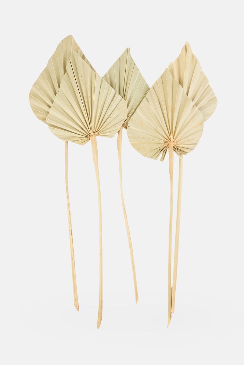 Muy Mucho 5pcs Natural Dried Palm Spear , Sage Olive - Image 1