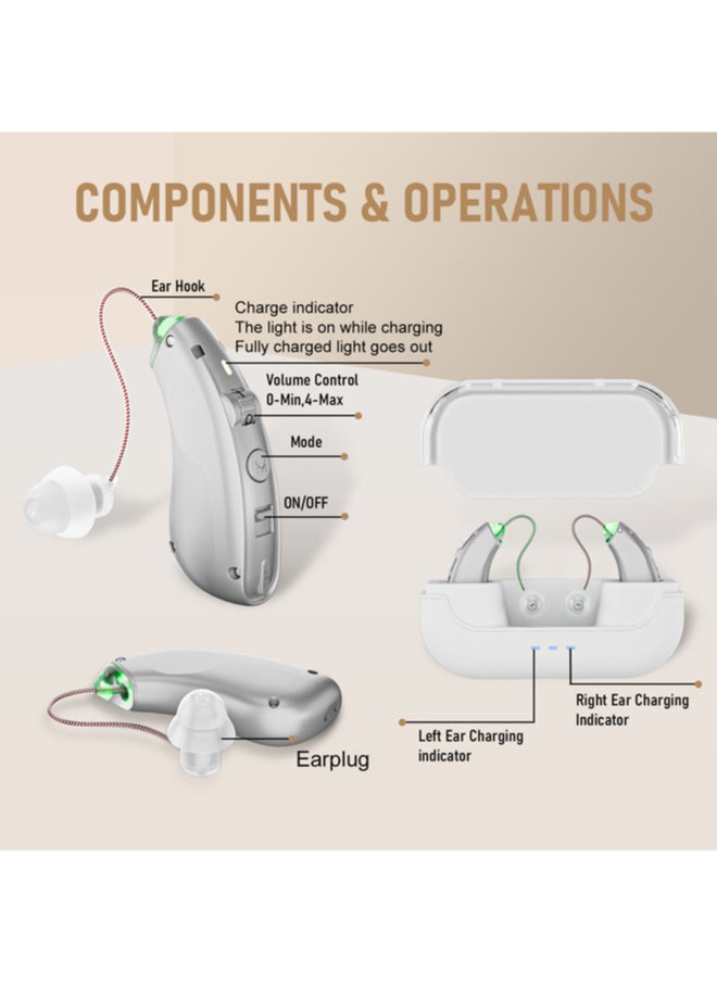 Chixing Invisible Hearing Aids for Seniors, , Noise Cancelling, LED Charging Case (Silver)  - Image 2