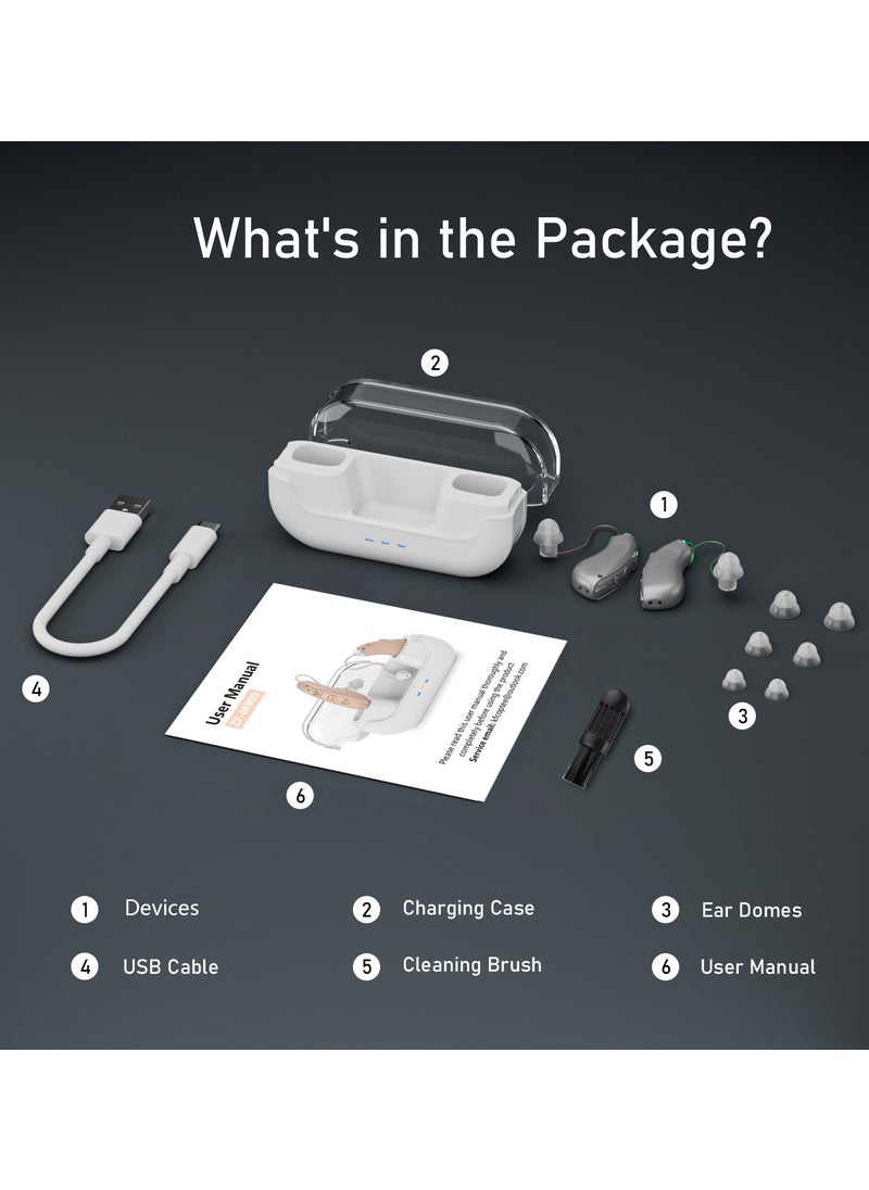 Chixing - Invisible Hearing Aids for Seniors, , Noise Cancelling, LED Charging Case (Silver) - Image 1