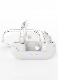 Chixing Invisible Hearing Aids for Seniors, , Noise Cancelling, LED Charging Case (Silver)  - Image 1