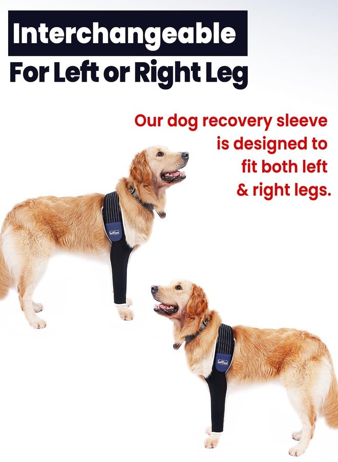 LufeLux Dog Sleeves for Wounds Front Legs, Compression Sleeve, Dog Cone Alternative, Keep from Licking with Strechy Adjustable Elastic Band, for Hot Spots, Wounds, Bandages - Image 5